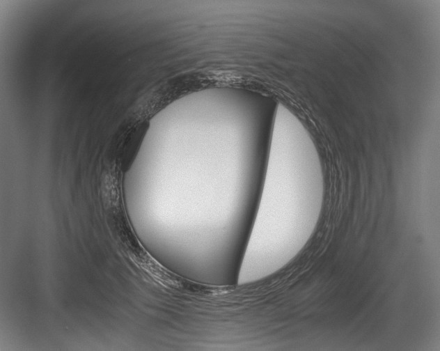 X0000084000609200702160758
