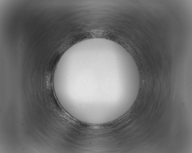 X0000084000610200702160758