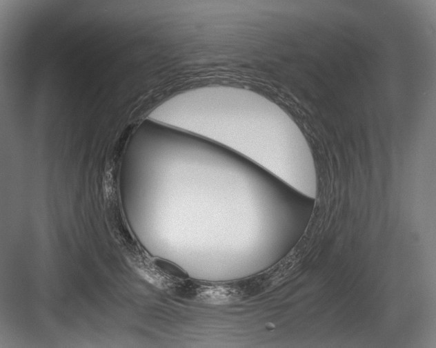 X0000084000611200702160758