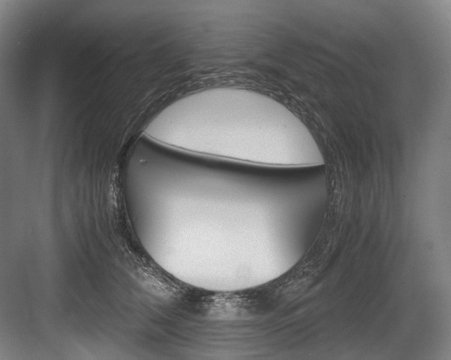 X0000084000612200702160758