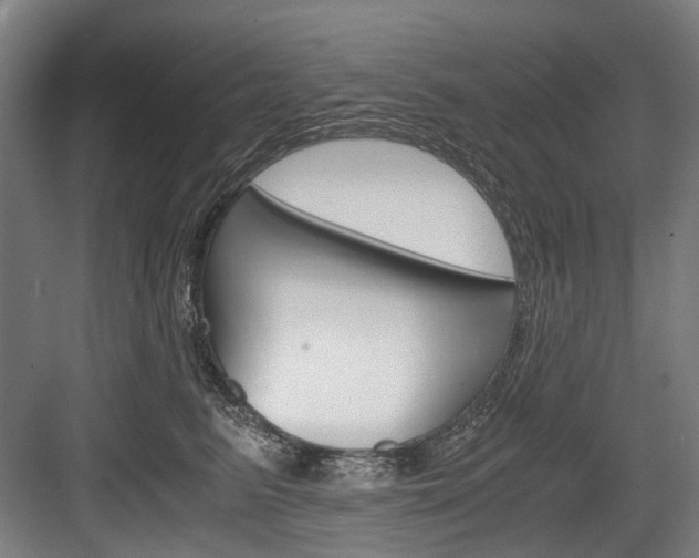 X0000084000615200702160758