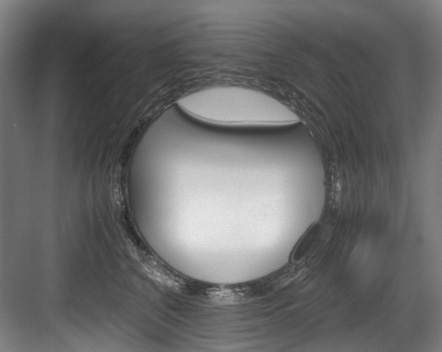 X0000084000616200702160758