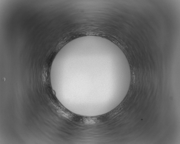 X0000084000618200702160758