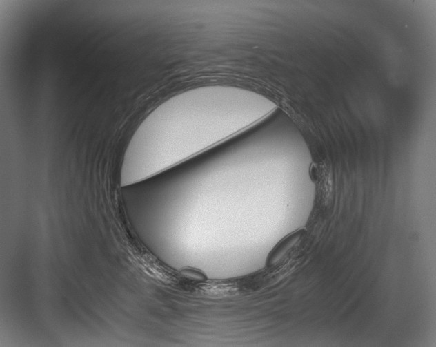 X0000084000619200702160758