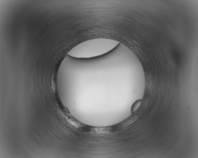 X0000084000622200702160758