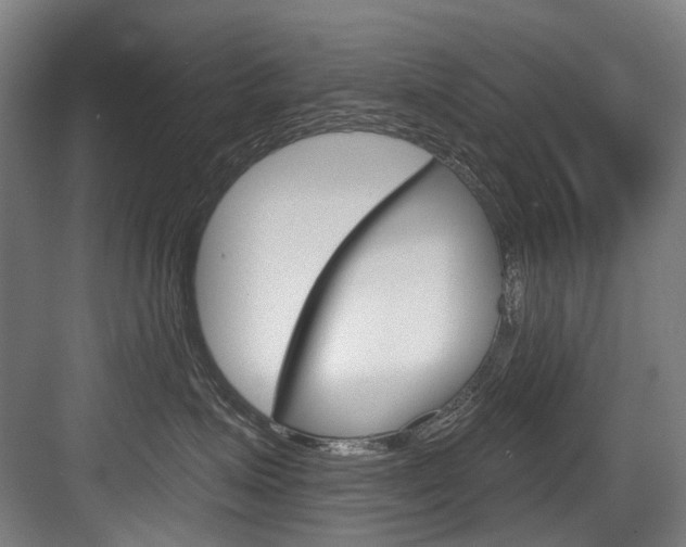 X0000084000623200702160758