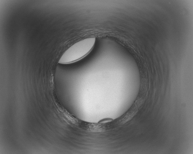 X0000084000624200702160758