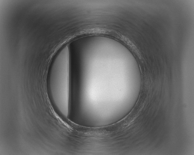 X0000084000625200702160757