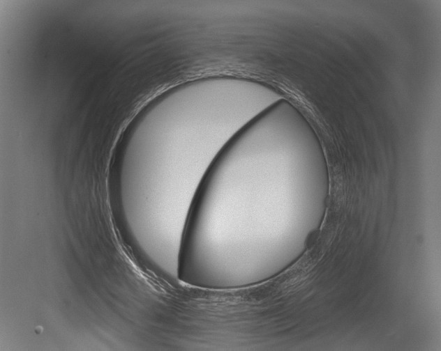 X0000084000626200702160757