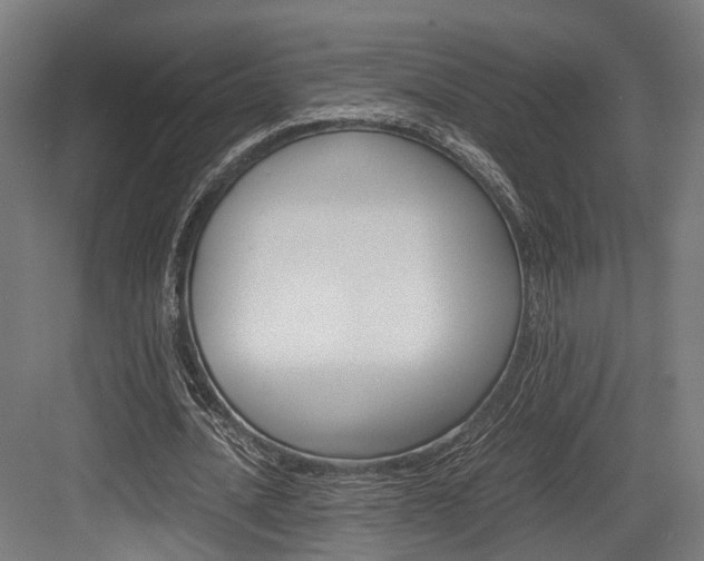 X0000084000628200702160757