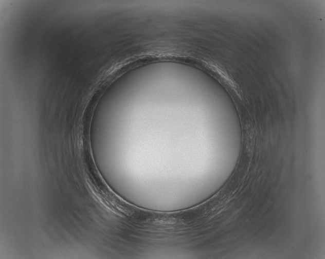X0000084000631200702160757