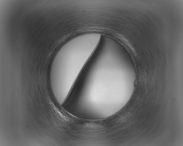 X0000084000633200702160757