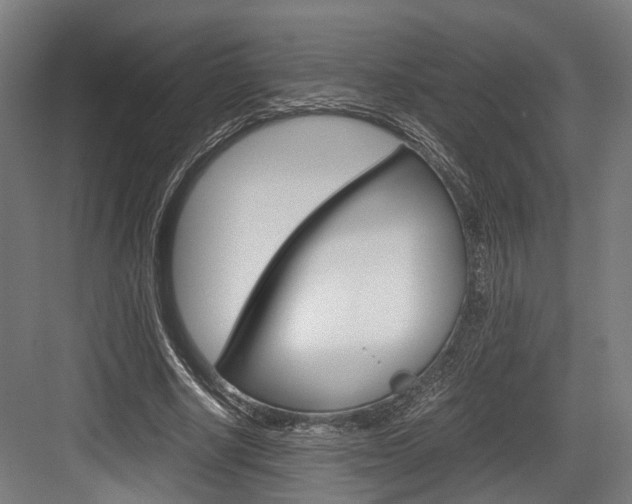 X0000084000634200702160757