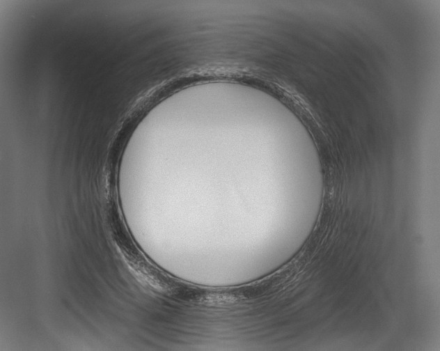 X0000084000636200702160757