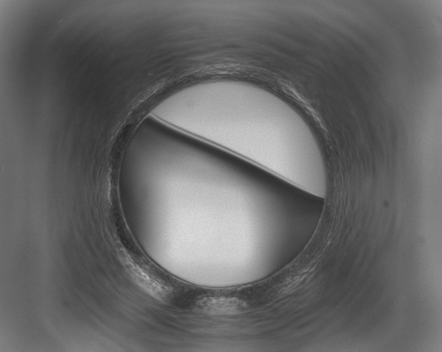 X0000084000637200702160757