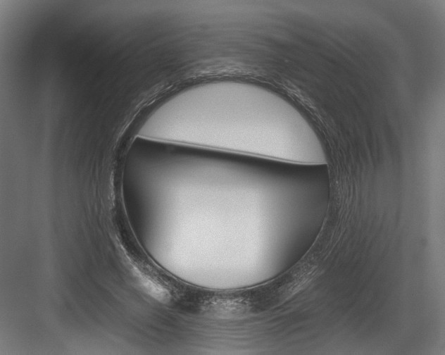 X0000084000638200702160757