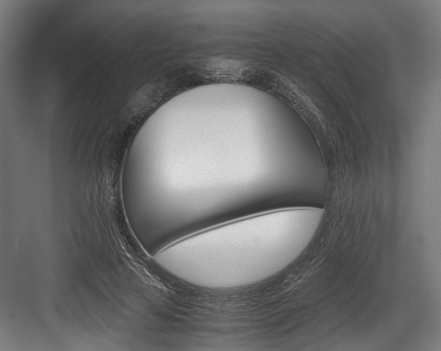 X0000084000641200702160757