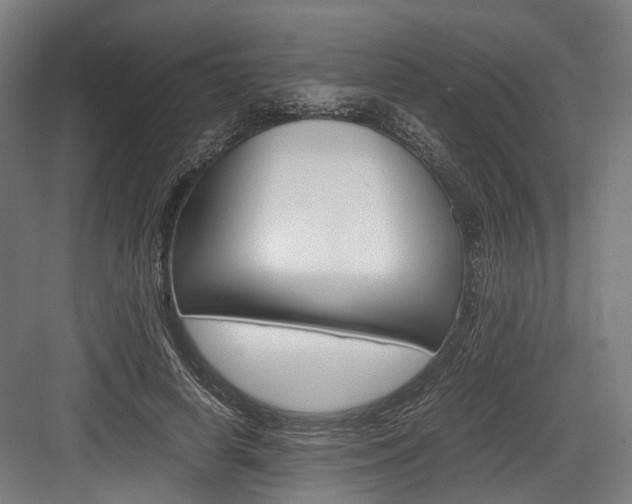 X0000084000642200702160757