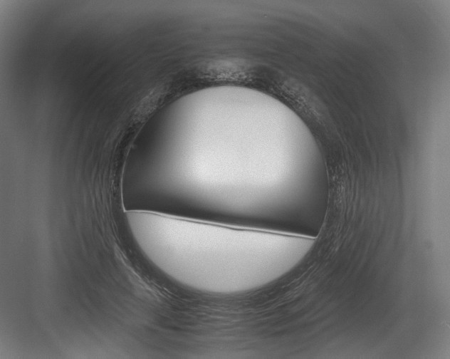 X0000084000643200702160757