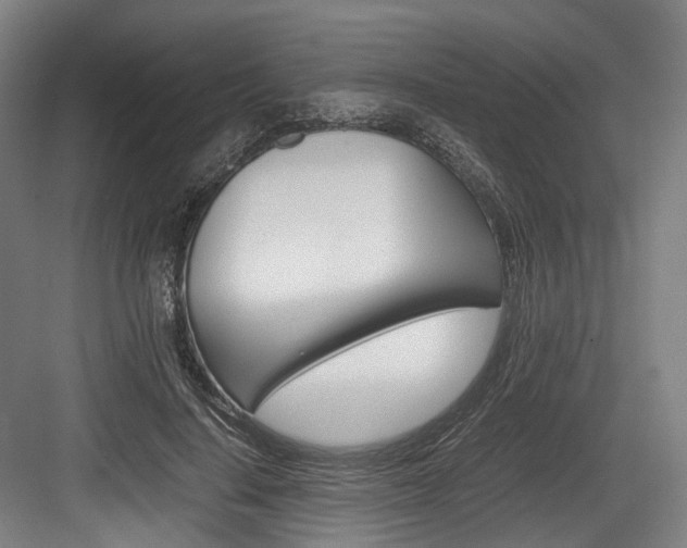 X0000084000644200702160757