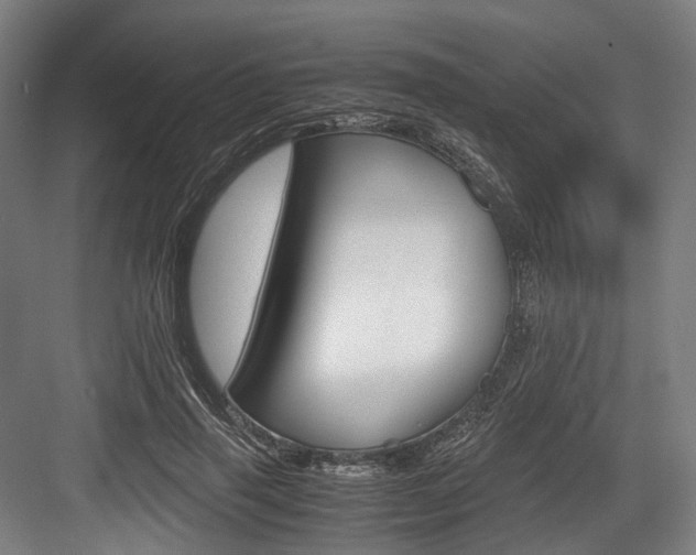 X0000084000645200702160757