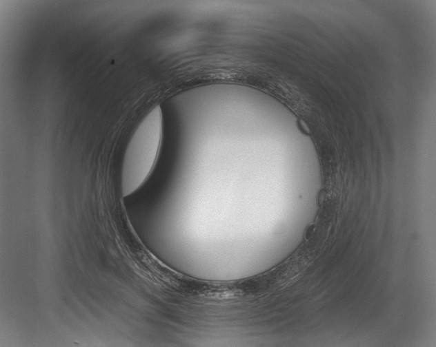 X0000084000646200702160757