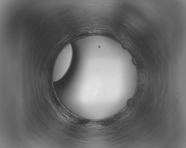X0000084000648200702160757