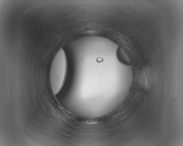 X0000084000651200702160757