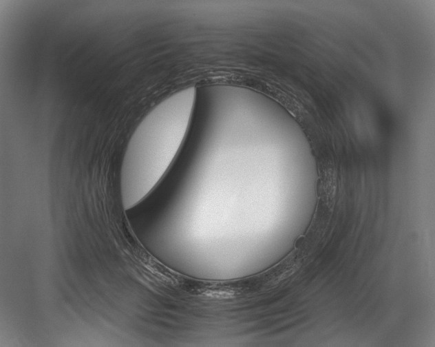 X0000084000653200702160758