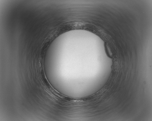 X0000084000654200702160758