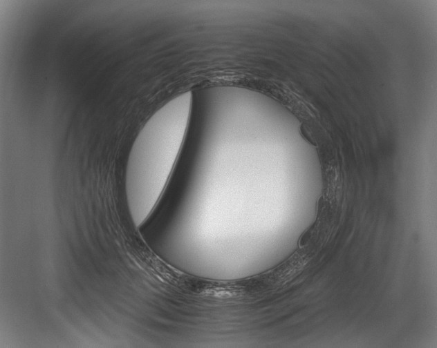 X0000084000655200702160758