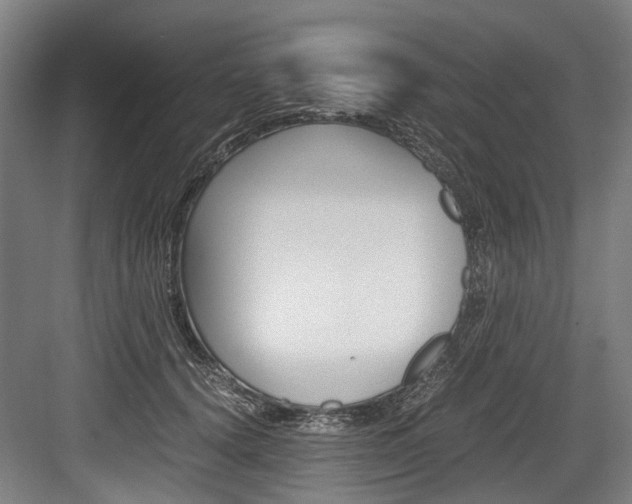 X0000084000656200702160758