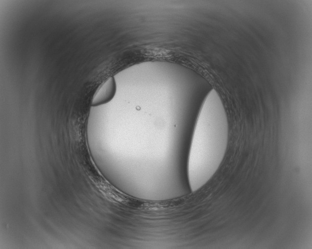 X0000084000658200702160758
