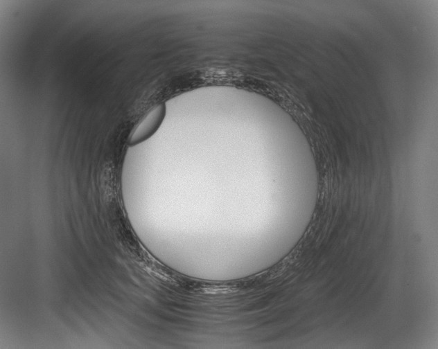 X0000084000659200702160758