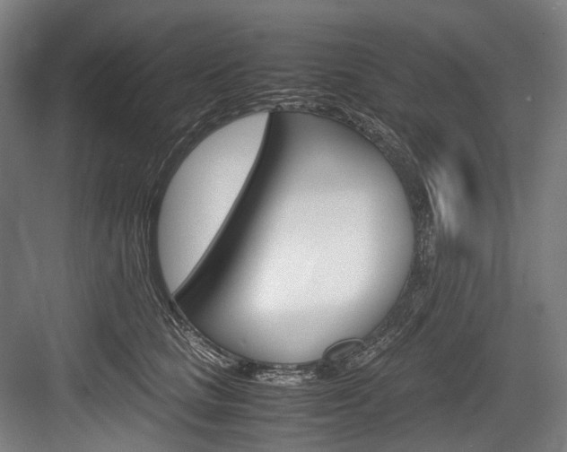 X0000084000661200702160758
