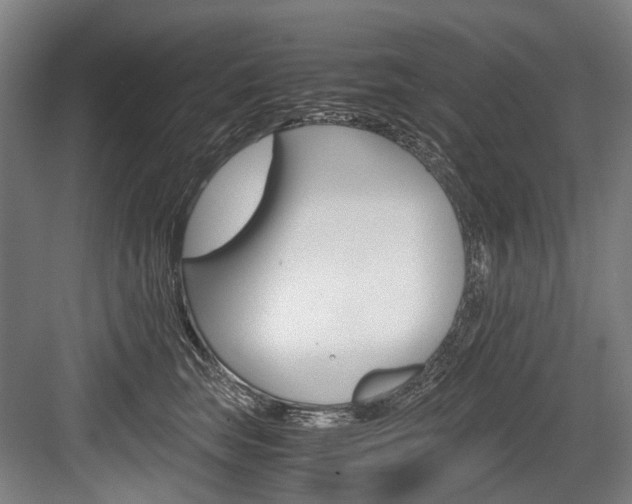 X0000084000663200702160758