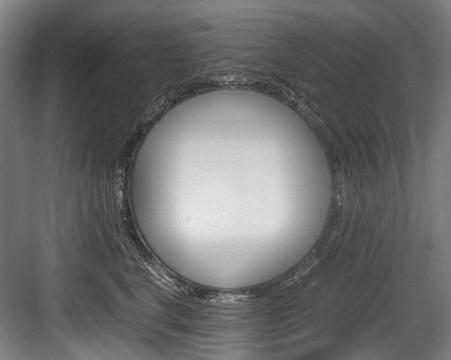 X0000084000664200702160758