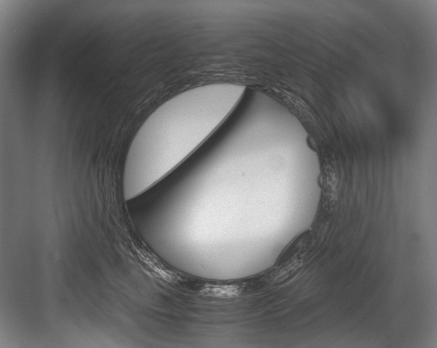 X0000084000665200702160758