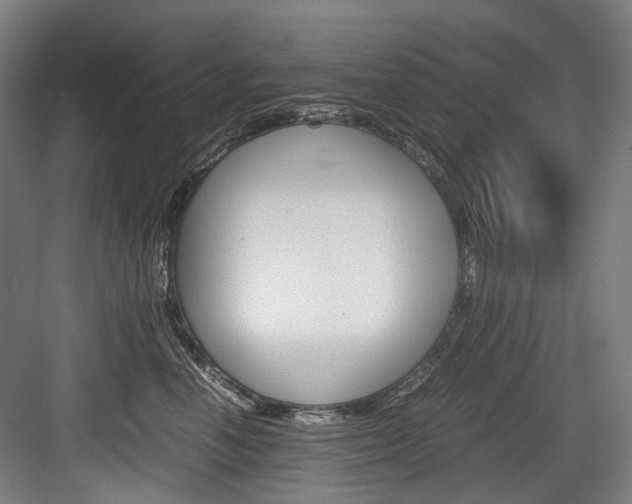X0000084000666200702160758