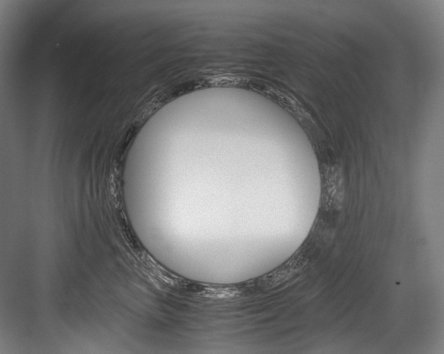 X0000084000667200702160758