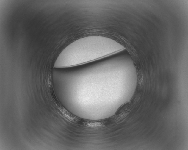 X0000084000669200702160758
