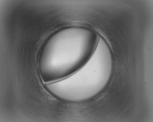 X0000084000673200702160757