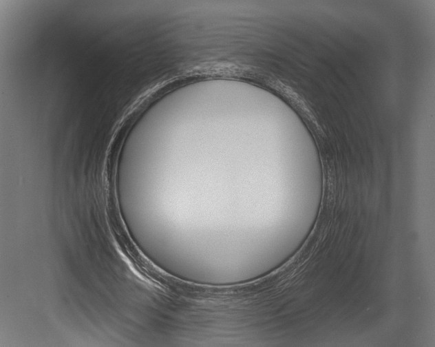X0000084000674200702160757