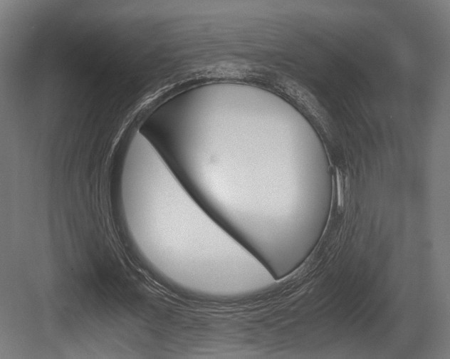 X0000084000675200702160757