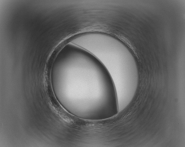 X0000084000680200702160757