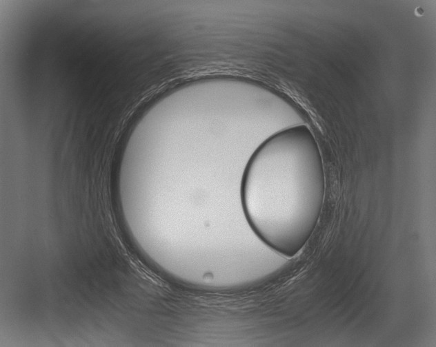 X0000084000681200702160757