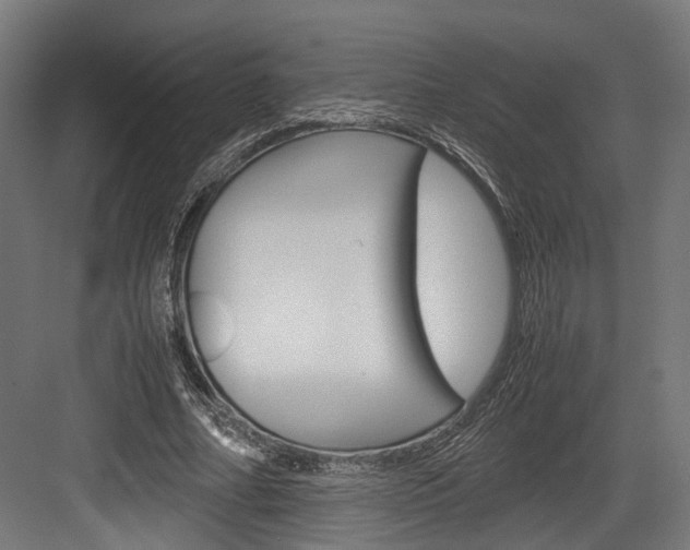 X0000084000682200702160757