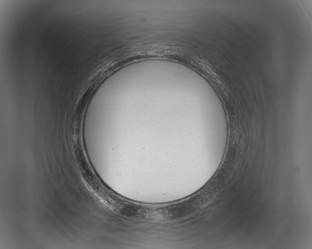 X0000084000683200702160757