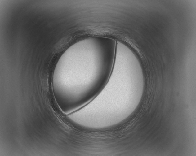 X0000084000685200702160757