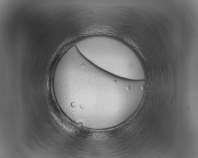 X0000084000686200702160757